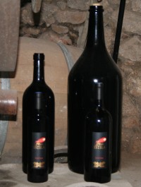 Balthazar rouge IGP 12 L cuvée Cyjori
